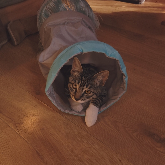 â ď¸ ALLERGY ALERT! â ď¸ - Picture 4 of 8